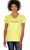 Women's BECOMING RADIANT Perfect Tri® V-Neck Tee Shirt